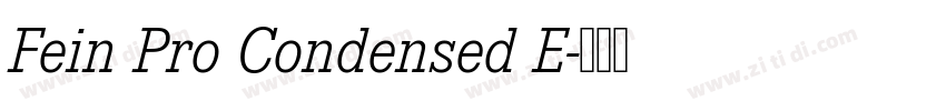 Fein Pro Condensed E字体转换
